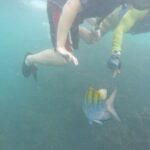 Ocean Kayaking and Snorkeling - Practical Details to Keep in Mind