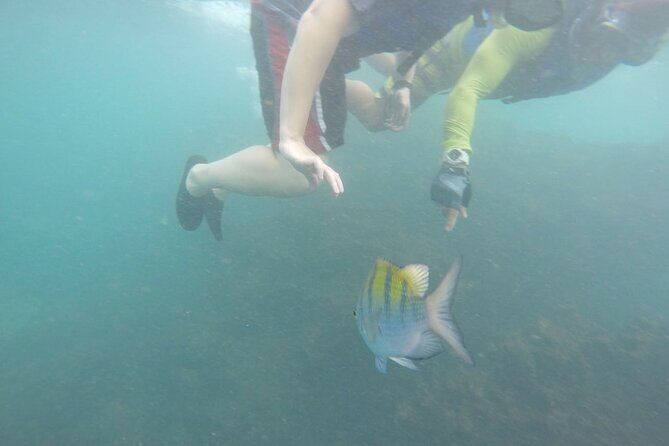 Ocean Kayaking and Snorkeling - Practical Details to Keep in Mind