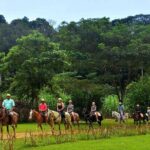 Ocean View Zip Line + Horseback Riding & Natural Pool Combo - Why This Tour Offers Great Value