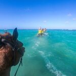 Ochi Ultra Pass ATV Cave Horse Ride and Catamaran Adventure - How the Experience Unfolds