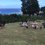 Ocho Rios: Blue Hole and Secret Falls Sightseeing Tour - Final Thoughts: Who Should Consider This Tour?