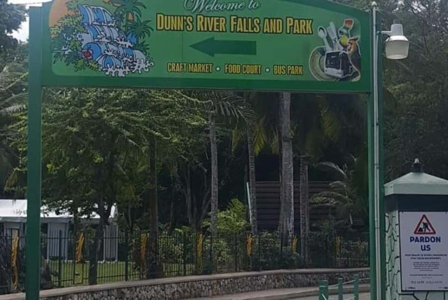 Ocho Rios: Dunn's River Falls and Blue Hole Private Tour - Exploring the Experience: A Close Look at Your Day in Jamaica