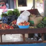 Ocho Rios: Food Walking Tour - The Full Itinerary Breakdown