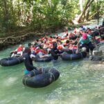 Ocho Rios For A Day / Private Customizable Tours / Jamaica Dream Vacation - Who Will Love This Tour?