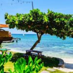 Ocho Rios Gourmet Jamaican Food and Private Beach Experience - Who Should Consider This Tour?