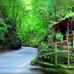 Ocho Rios: Guided Sightseeing Tour - Who Is This Tour Best For?