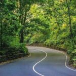 Ocho Rios Highlights and Shopping Tour - Who Should Consider This Tour?