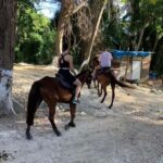 Ocho Rios: Horseback Riding and Dunn's River Falls Tour - What Travelers Say