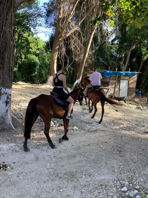 Ocho Rios: Horseback Riding and Dunn's River Falls Tour - What Travelers Say