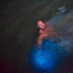 Ocho Rios Luminous Lagoon Swim Experience - Who Should Consider This Tour?