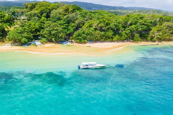 Ocho Rios Powerboat & Dunns River Falls Adventure - Who Should Consider This Tour?
