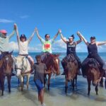 Ocho Rios: Scenic Horseback Riding Adventure - Who Will Love This Tour?