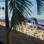 Ocho Rios Shore Excursion Bamboo Blu Beach and Shopping Tour - What Makes This Tour Stand Out?