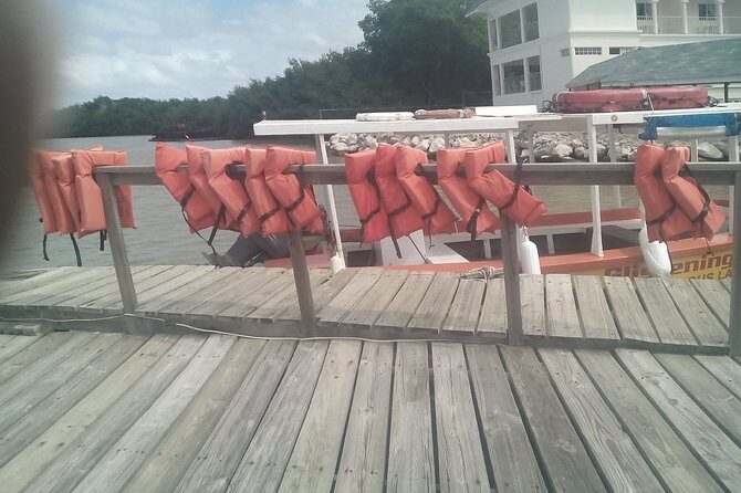 Ocho Rios Shore Excursion: Private Snorkel Tour