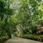 Ocho Rios Sightseeing, Beach Half-Day Tour (Admission include) - Authentic Traveler Insights and Expectations