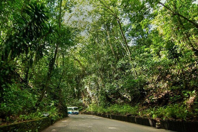 Ocho Rios Sightseeing, Beach Half-Day Tour (Admission include) - Authentic Traveler Insights and Expectations