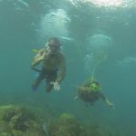 OCTOPUS DIVING (hookah diving) NO Experience Needed - Why Choose Octopus Diving?