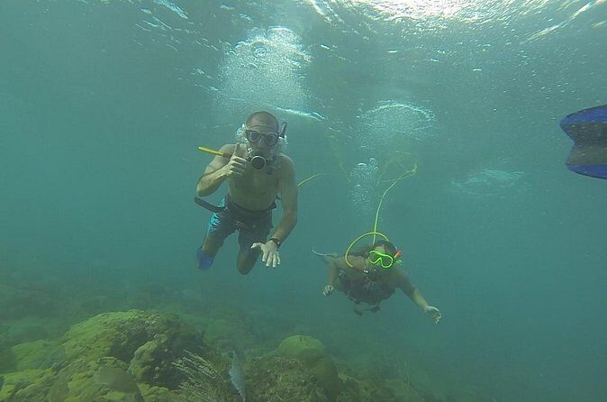 OCTOPUS DIVING (hookah diving) NO Experience Needed