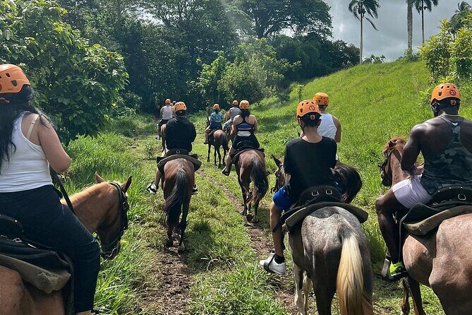 Off Road Punta Cana Jeep Safari Adventure Tour - A Detailed Look at the Off Road Punta Cana Jeep Safari Adventure Tour