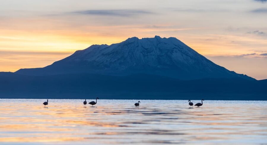 Offer Price Tour Salinas Lagoon and National Reserve 8 hours - Who Should Consider This Tour?
