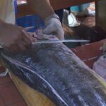 Oistins Fish Lovers' Food Tour - Who Should Consider This Tour?