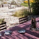 Olive oils, Gourmet products and Wines - What Makes This Tour a Great Choice