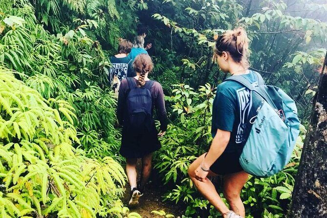 Ometepe trekking - Volcano Maderas By Happy Tours - Who Should Consider This Tour?