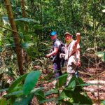 One-day adventure in Corcovado National Park - Authentic Experience and Value