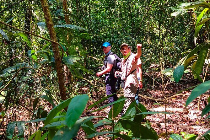 One-day adventure in Corcovado National Park - Authentic Experience and Value