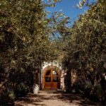 One Day Grapes on the Edge. Uco Valley Wine Tour - Transportation and Group Size