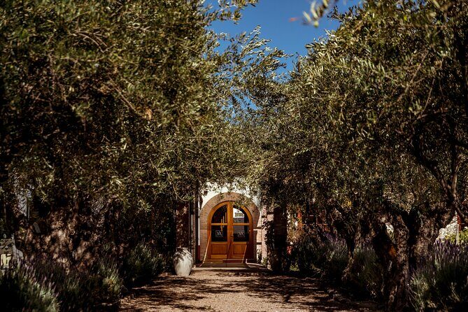 One Day Grapes on the Edge. Uco Valley Wine Tour - Transportation and Group Size
