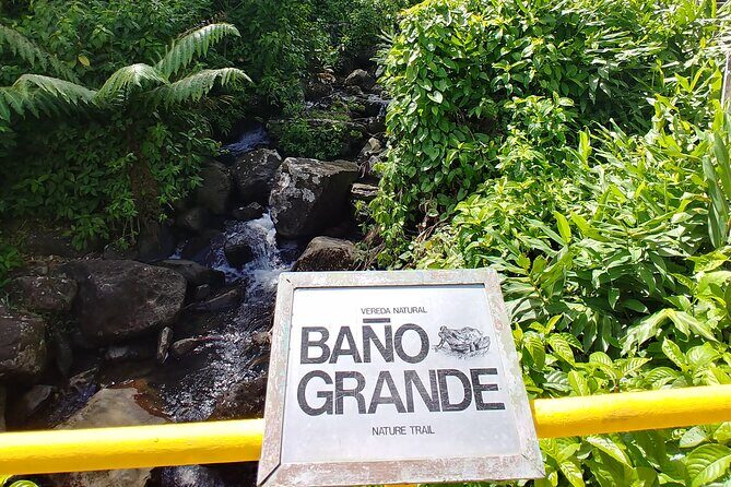 Original Tropical Rainforest and Beach Adventure - What the Reviews Say