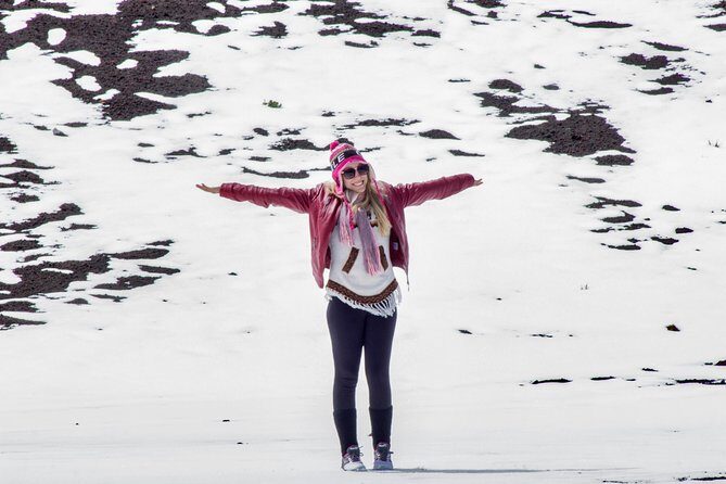 Osorno Volcano Half Day Trip from Puerto Varas - The Sum Up