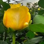 Otavalo Market, Art and Music with Middle of the World (Sundial) - A Deep Dive into the Ecuadorian Day Trip