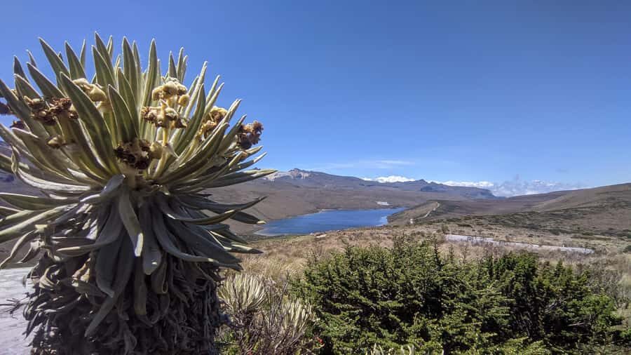 Otun Lagoon, 2 day expedition - Practical Details: What to Know Before You Go