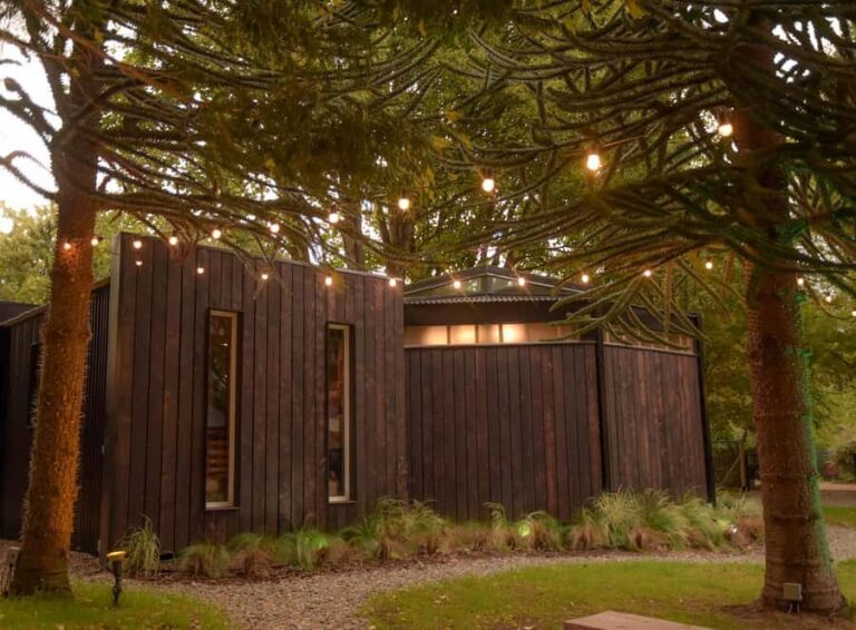 Pablo Bernasconi's Art Gallery Guided Tour - Why This Tour Offers Real Value