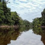 Pacaya Samiria 4-Day Tour - Transport and Logistics