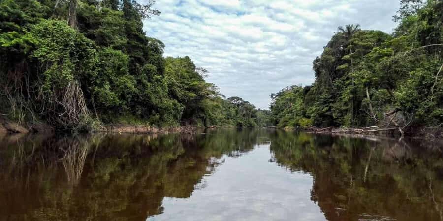 Pacaya Samiria 4-Day Tour - Transport and Logistics