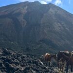 Pacaya Volcano and Thermal Pools - A Closer Look at the Pacaya Volcano and Thermal Pools Tour