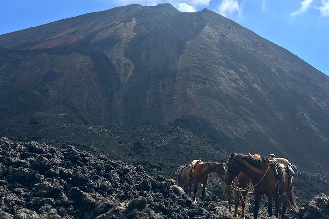 Pacaya Volcano and Thermal Pools - A Closer Look at the Pacaya Volcano and Thermal Pools Tour
