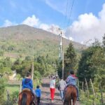 Pacaya Volcano & Guatemala City Private Tour - Final Thoughts