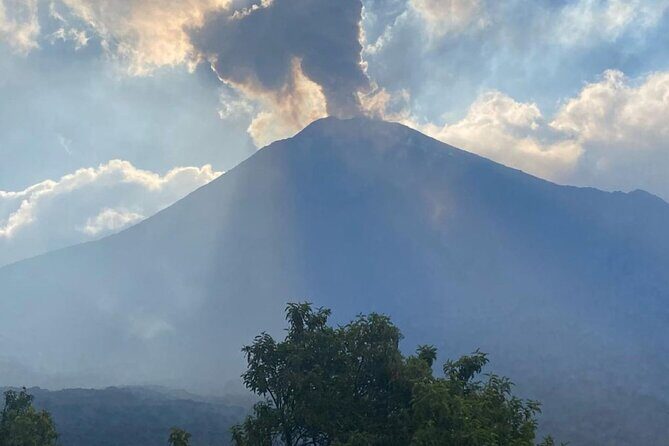 Pacaya Volcano Tour from Antigua Guatemala - Who Should Book This Tour?