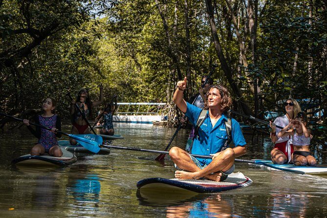 Paddle Board Mangrove Tour - Who Should Consider This Tour?