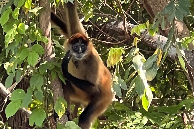 Paddle Boarding and Meditation Wellness Experience in Las Isletas - FAQ