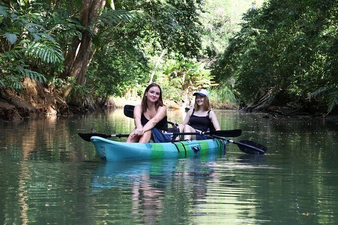 Paddle Through Paradise: Mangrove Kayak Adventure - The Sum Up: Who Will Love This?