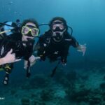 PADI Discover Scuba Dive - Why This Tour Offers Great Value