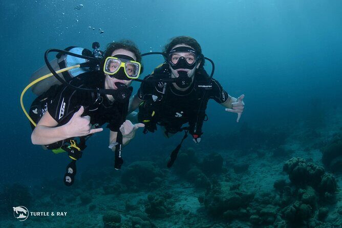 PADI Discover Scuba Dive - Why This Tour Offers Great Value