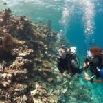PADI Discover Scuba Diving: at Hol Chan Marine Reserve - Exploring the Belize Barrier Reef and Hol Chan Marine Reserve