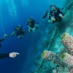 PADI Open Water Course in Curacao - Who Should Book This Experience?