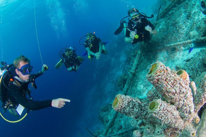 PADI Open Water Course in Curacao - Who Should Book This Experience?